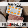 Jiushidu new13